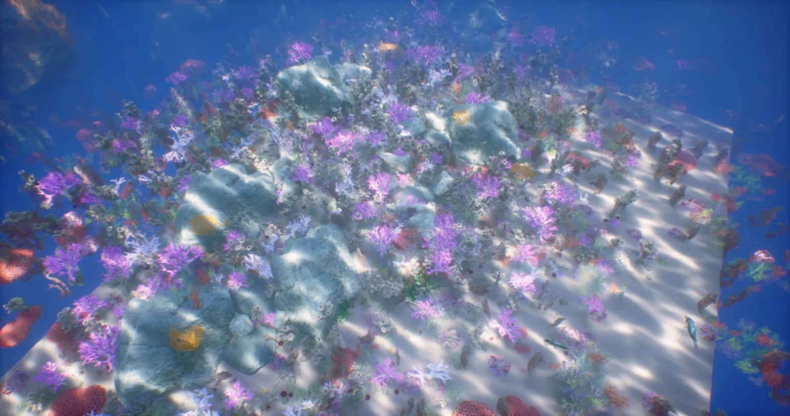 CoralLife — image 3