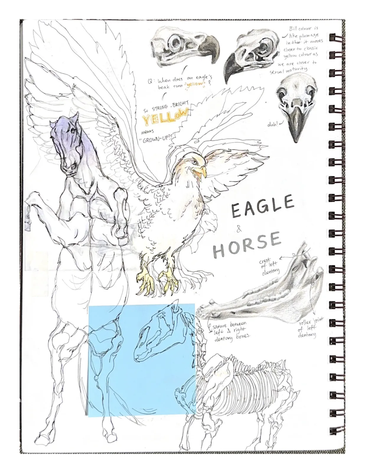 Sketchbook2 — image 2