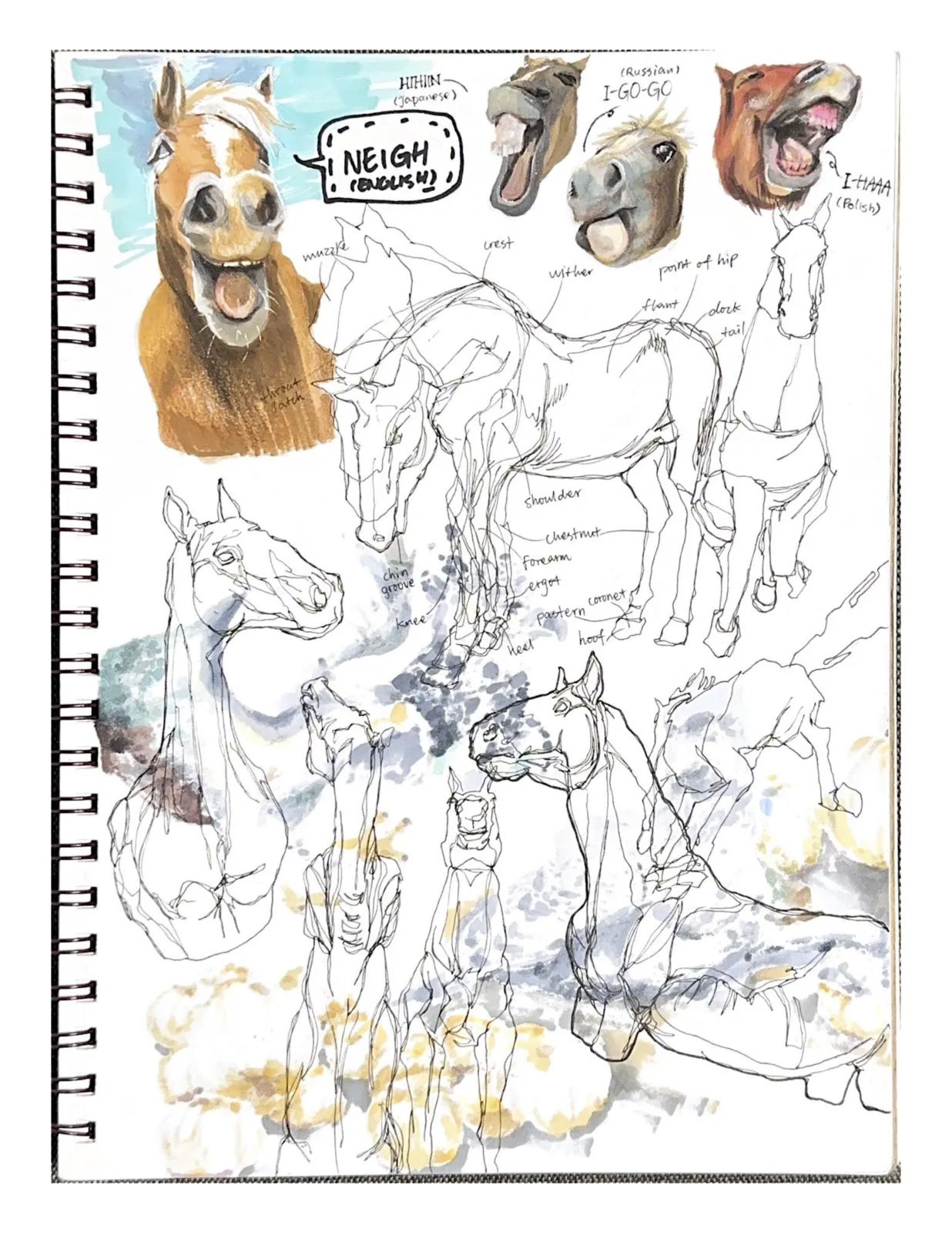 Sketchbook2 — image 3