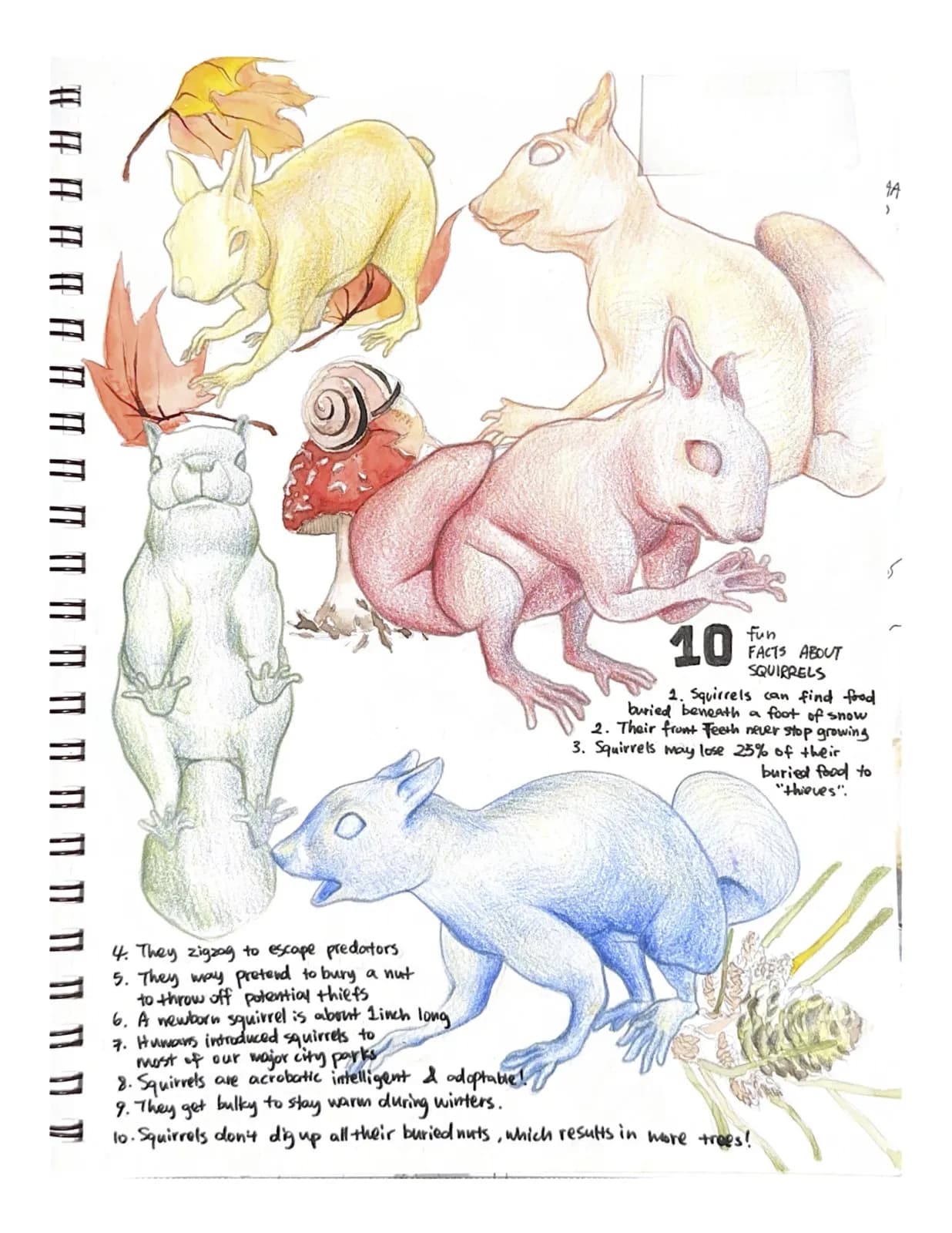 Sketchbook2 — image 4