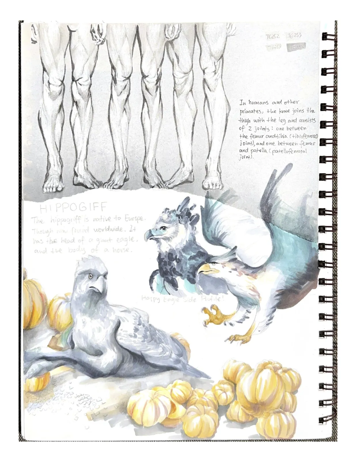 Sketchbook2 — image 9